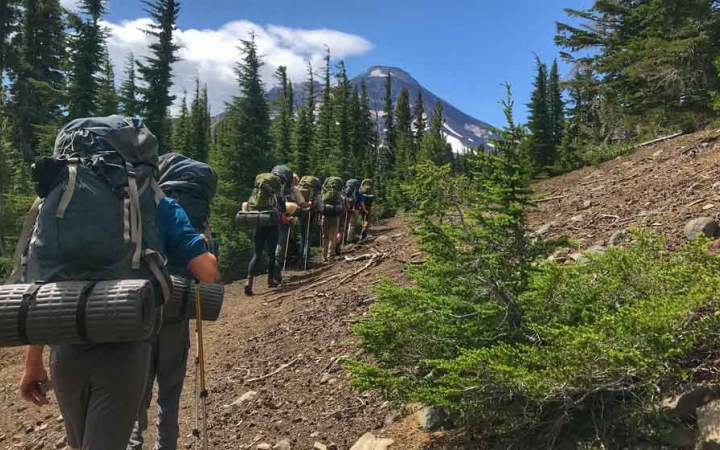 a group of students carrying backpacks hike along an alpine trail lined with trees